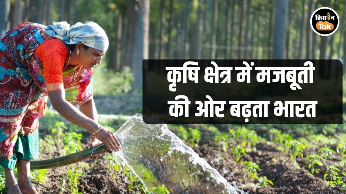 Indian Agricultural Growth