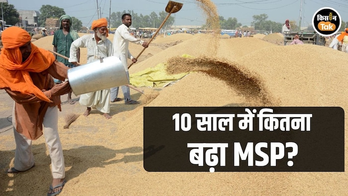 Minimum Support Price MSP