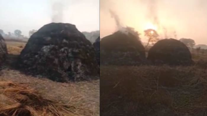 धू-धू कर जली धान की फसल