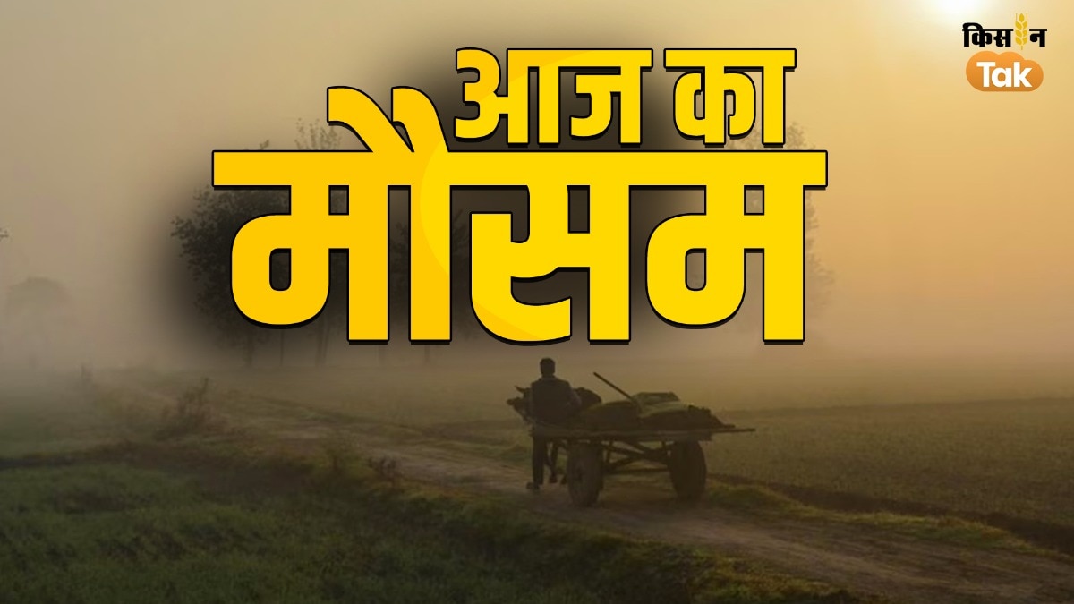 Aaj Ka Mausam: इस राज्य में बहुत घने कोहरे का अलर्ट जारी, पहाड़ों में बर्फबारी; जानें देशभर के मौसम का हाल