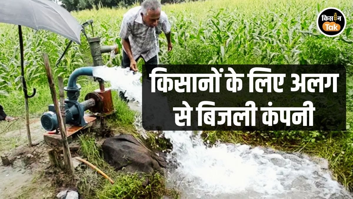 Maharashtra Solar Power