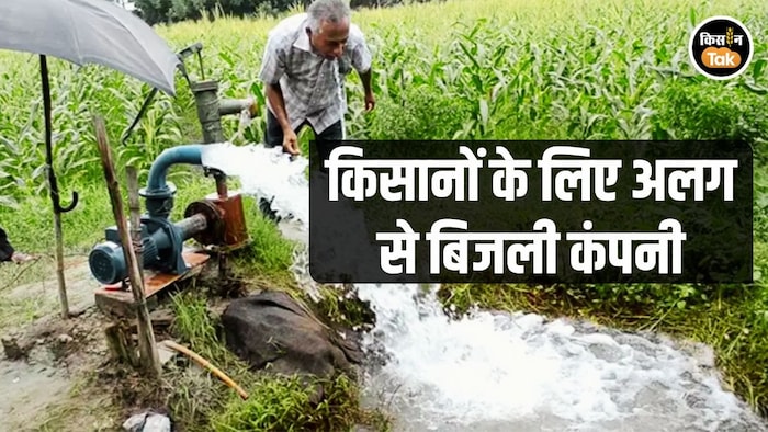 Maharashtra Solar Power