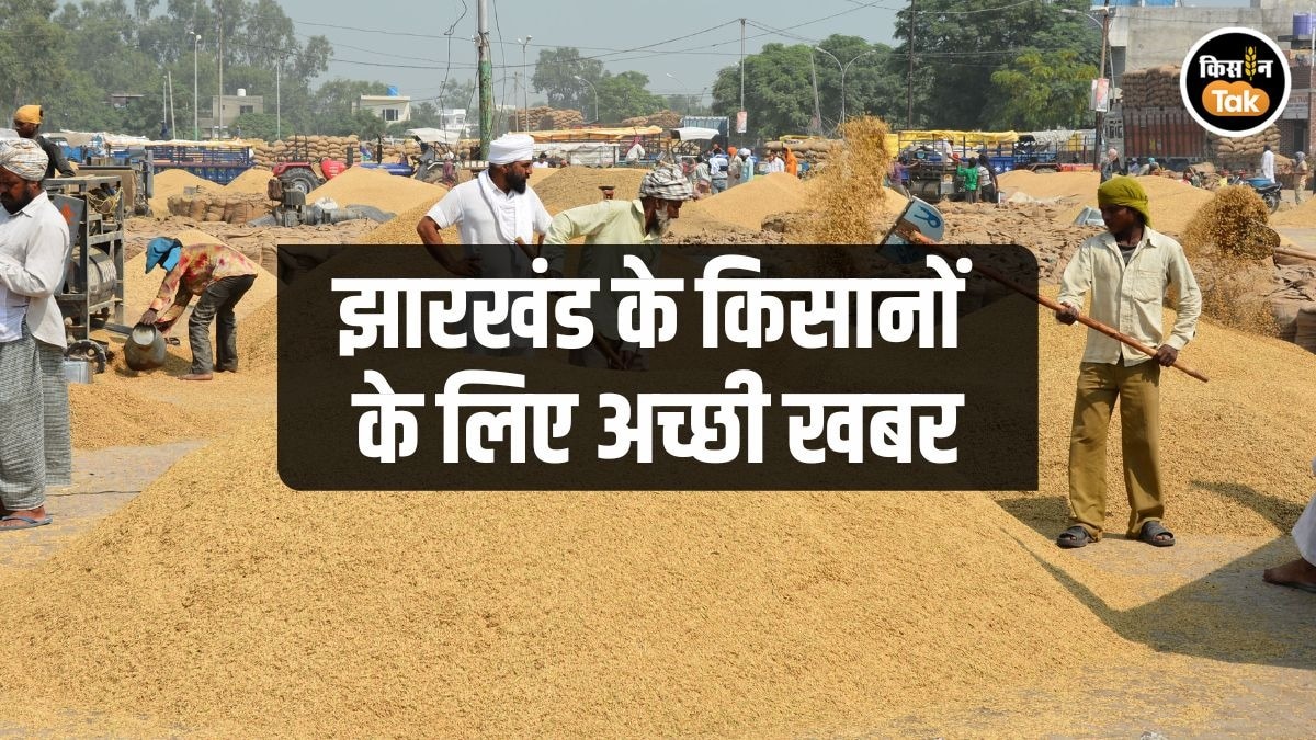 Jharkhand Paddy Procurement