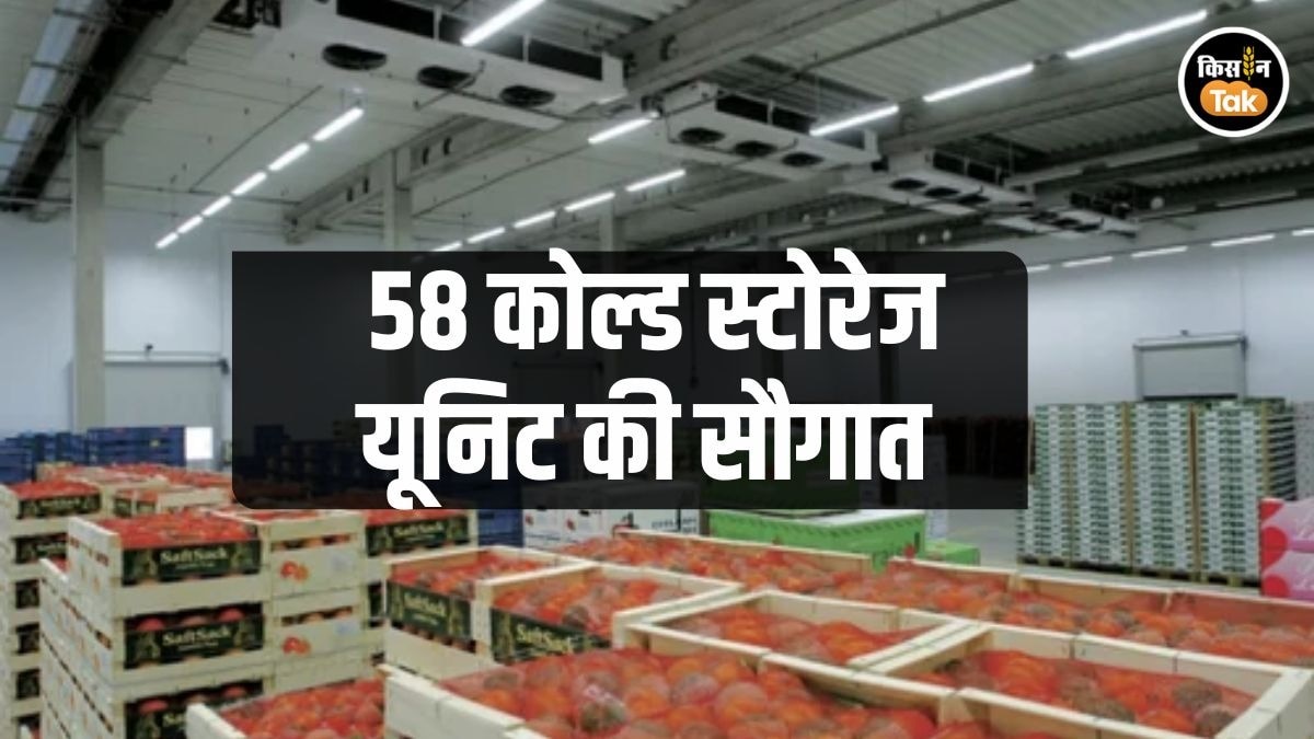 कोल्ड स्टोरेज यूनिट