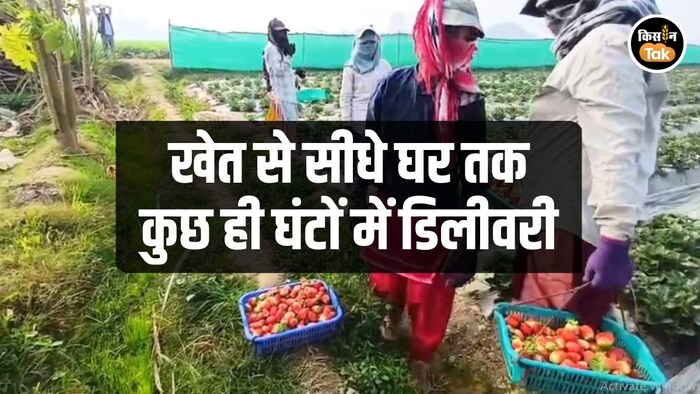 SAMBHAL HI-TECH FARMER