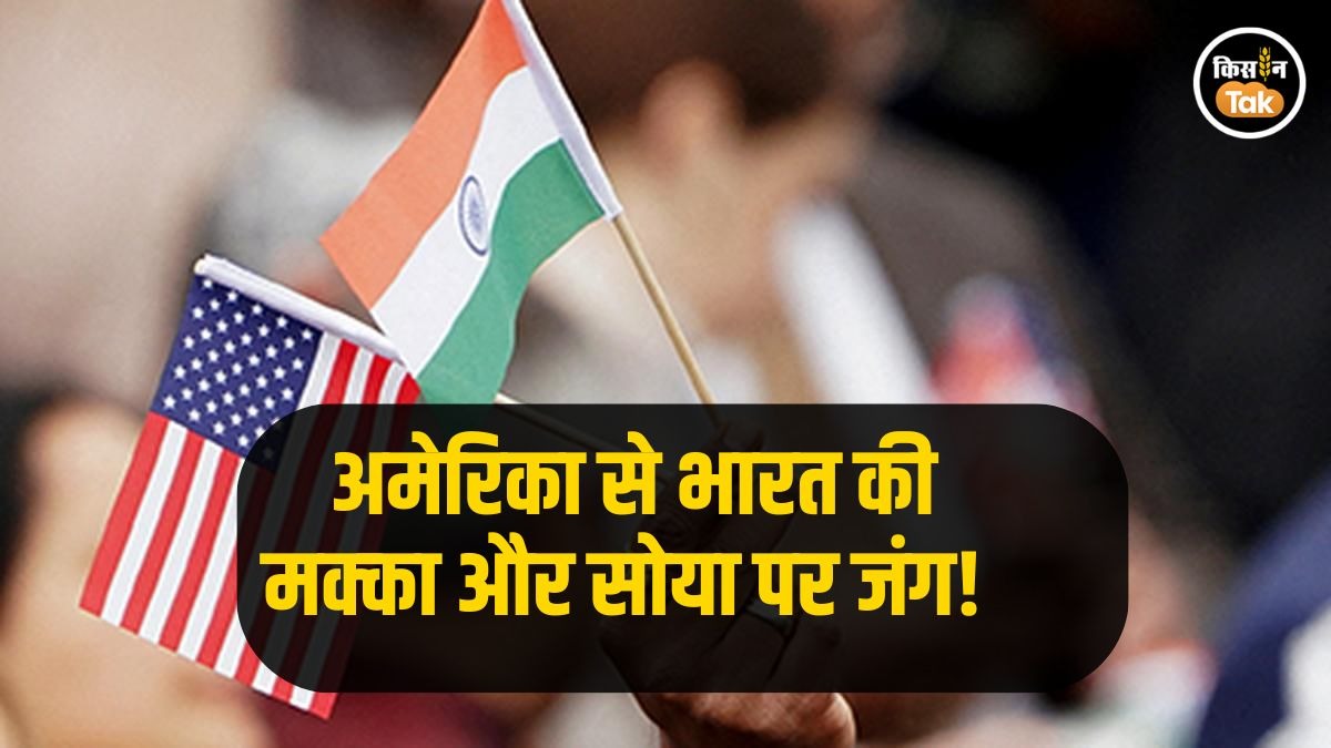 Trade Deal: झुकेगा नहीं! सोया और मक्‍का पर फिर अड़ा अमेरिका, भारत भी मजबूती से है डटा  