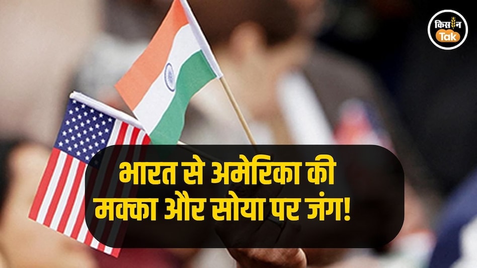 Trade Deal: झुकेगा नहीं! सोया और मक्का पर फिर अड़ा अमेरिका, भारत भी मजबूती से है डटा Trade Deal: झुकेगा नहीं! सोया और मक्का पर फिर अड़ा अमेरिका, भारत भी मजबूती से है डटा