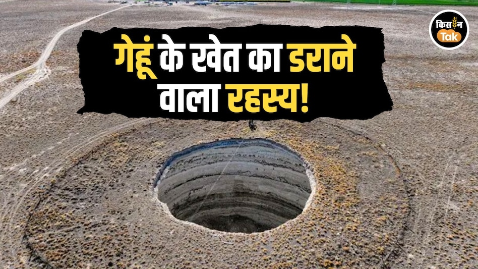 हाय रे Global Warming!गेहूं के खेत 100 फीट चौड़े गड्ढों में समाए, रहस्य से दुनिया परेशान हाय रे Global Warming!गेहूं के खेत 100 फीट चौड़े गड्ढों में समाए, रहस्य से दुनिया परेशान