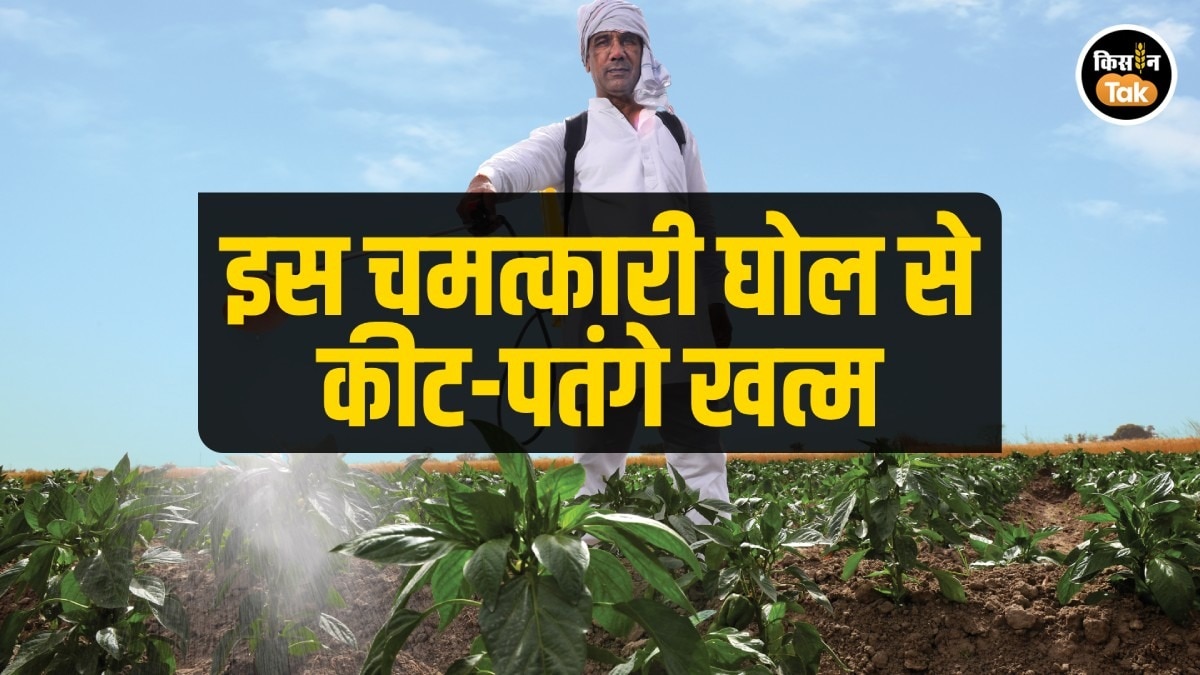 organic spray for crops