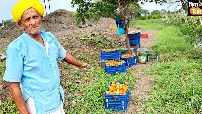 उन्नत बीज और नए बाजारों में बढ़ी किसानों की पहुंच