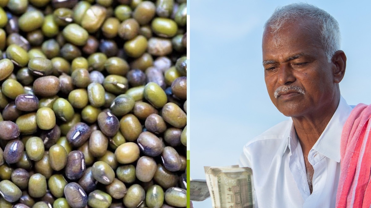 इस पहल से उत्तर प्रदेश के किसानों की आमदनी बढ़ेगी