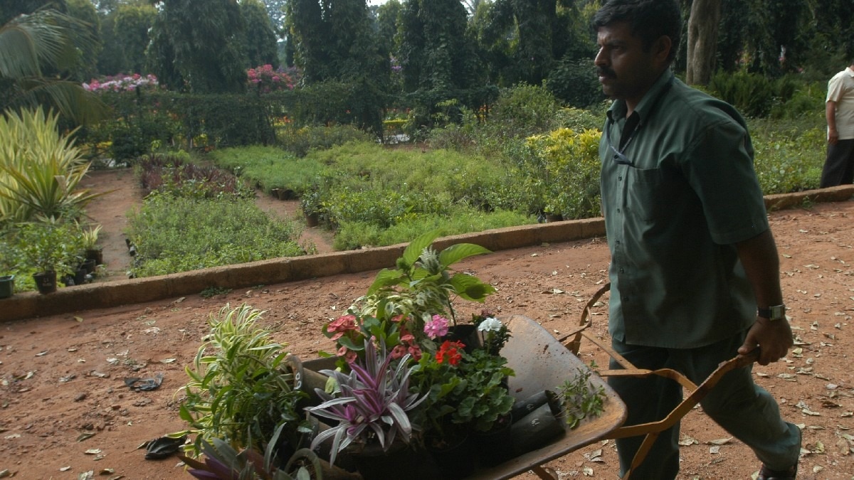 bihar bagwani yojana