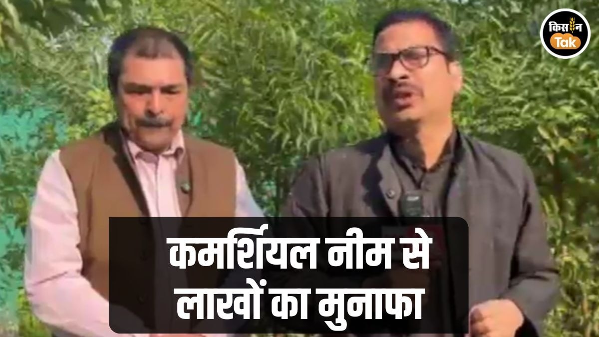 Neem Ki Kheti: नीम की कमर्शियल किस्‍म उगाकर लाखों रुपये कमा रहा यह किसान, पढ़ें सफलता की कहानी