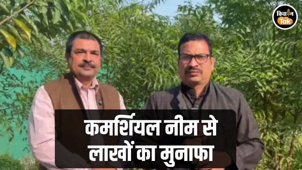 Commercial Neem Farming mzf