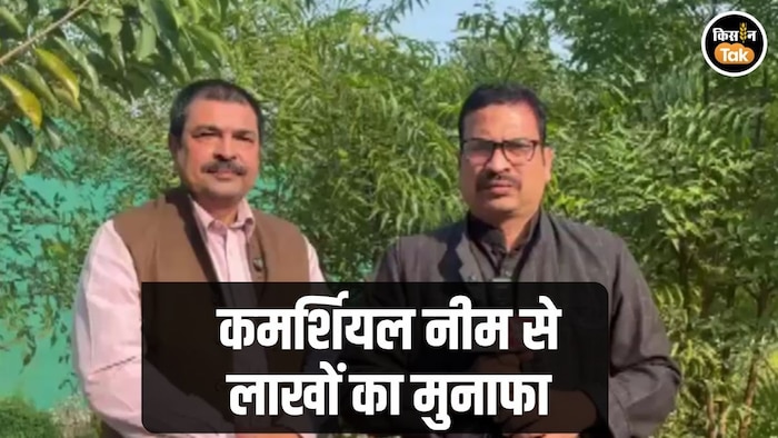 Commercial Neem Farming mzf