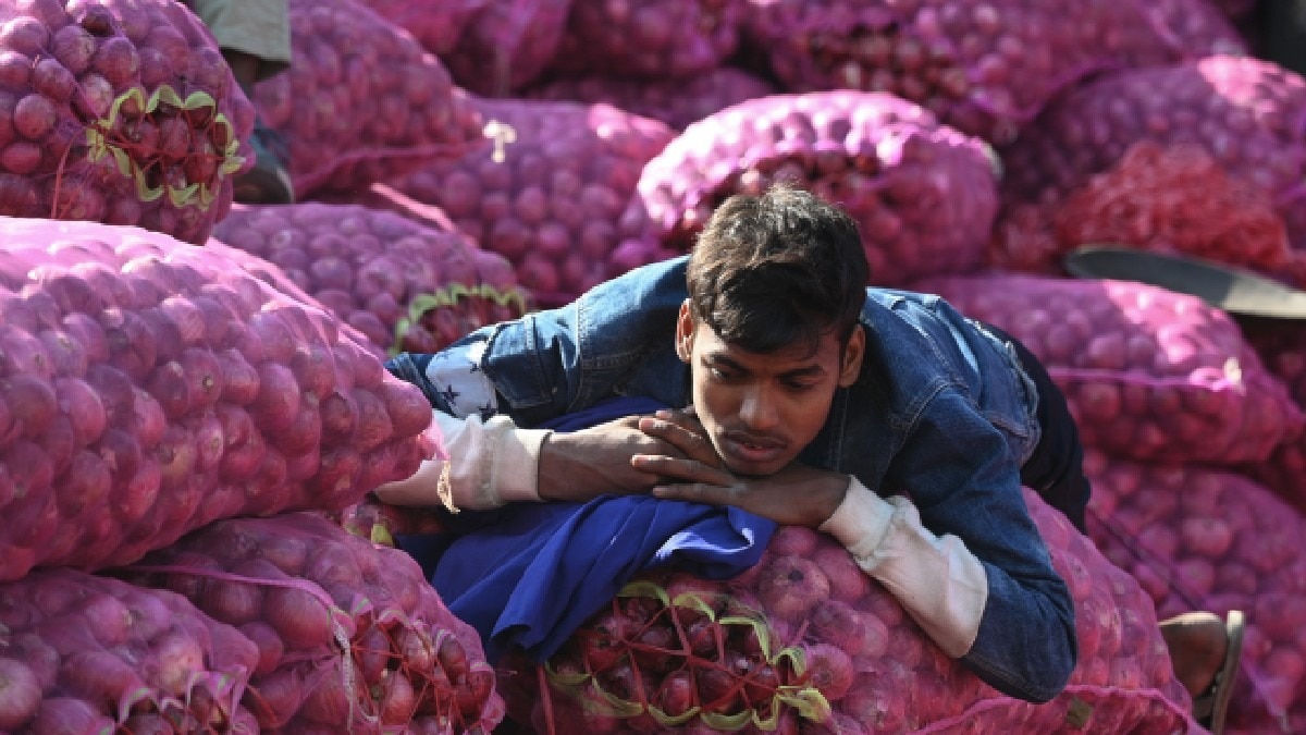 nafed procurement center