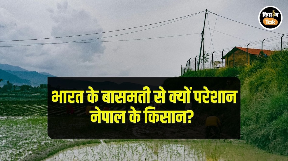 Indian Rice: यह हमारी इनकम खा जाएगा-आखिर क्यों नेपाल के किसानों को लगा भारत के बासमती से डर Indian Rice: यह हमारी इनकम खा जाएगा-आखिर क्यों नेपाल के किसानों को लगा भारत के बासमती से डर