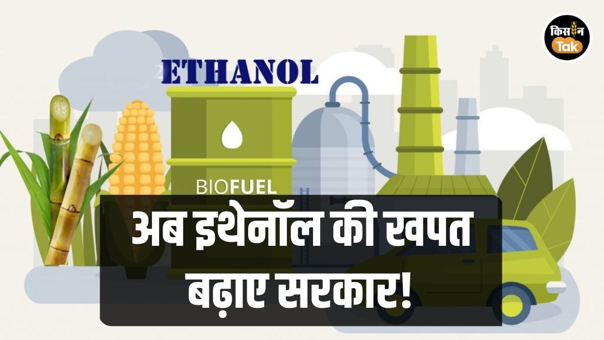 Ethanol Blending: किसानों से लेकर देश तक फायदा, इथेनॉल मिश्रण बढ़ाने की मांग तेज