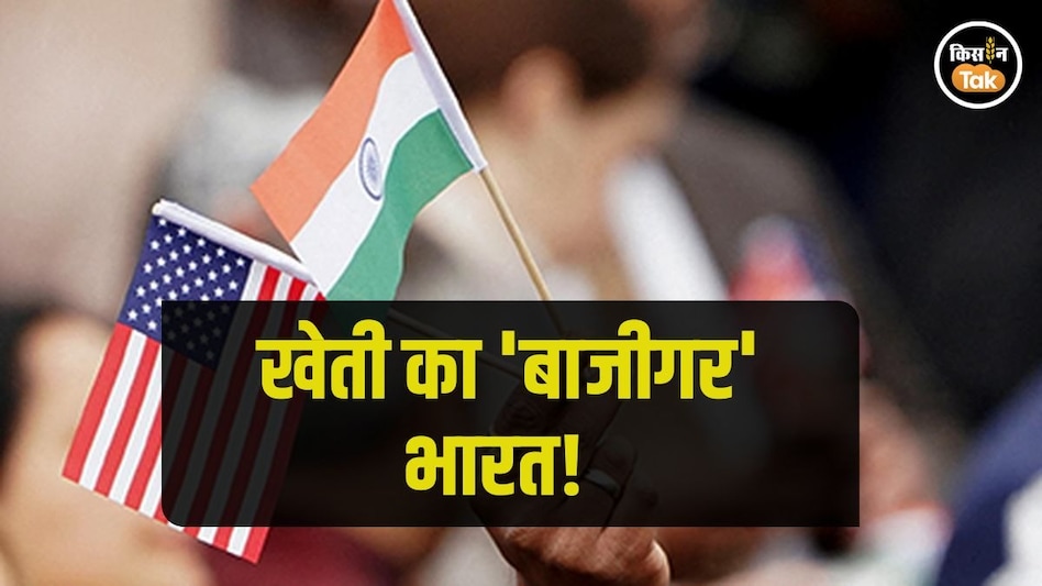 Rice Dumping: कभी अमेरिका ने भारत को भेजा था घटिया गेहूं, आज लगा रहा डंपिंग का आरोप Rice Dumping: कभी अमेरिका ने भारत को भेजा था घटिया गेहूं, आज लगा रहा डंपिंग का आरोप