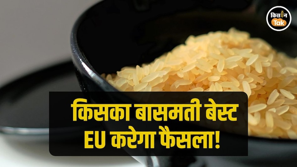 Basmati Rice: चावल पर ट्रंप की तनातनी के बीच बासमती को लेकर EU ले सकता है बड़ा फैसला Basmati Rice: चावल पर ट्रंप की तनातनी के बीच बासमती को लेकर EU ले सकता है बड़ा फैसला