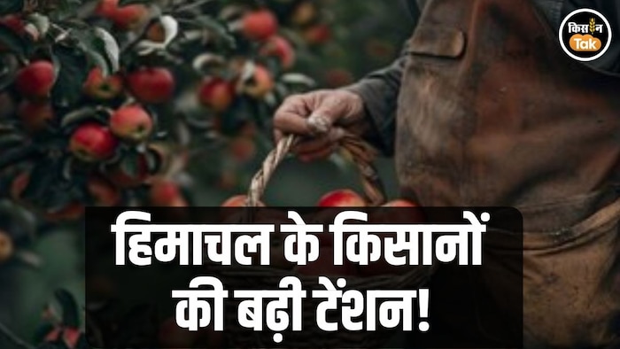 Himachal farmers tensed