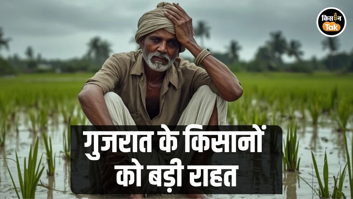 बारिश प्रभावित किसानों को बड़ी राहत