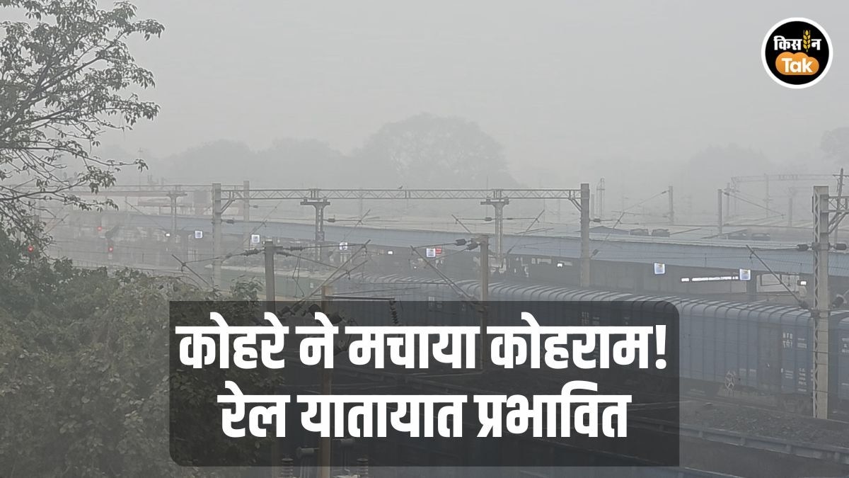 Fog: यूपी में सर्दी–कोहरे का कहर, सड़क-रेल यातायात ठप, स्कूलों की टाइमिंग बदली