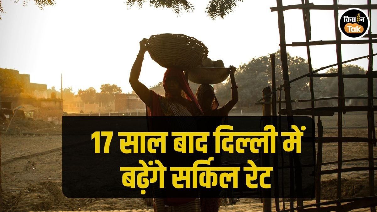 Delhi Circle Rate: दिल्‍ली में 8 गुना महंगी हो जाएगी खेती की जमीन, 17 साल बाद होने जा रहा एक बदलाव 