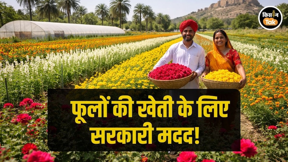 Floriculture Scheme: गुलाब से लेकर गेंदा तक, यहां फूलों की खेती पर सरकार देती है 40 हजार तक मदद Floriculture Scheme: गुलाब से लेकर गेंदा तक, यहां फूलों की खेती पर सरकार देती है 40 हजार तक मदद