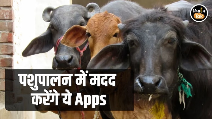 पशुपालन के लिए कारगर है ये 3 मोबाइल ऐप