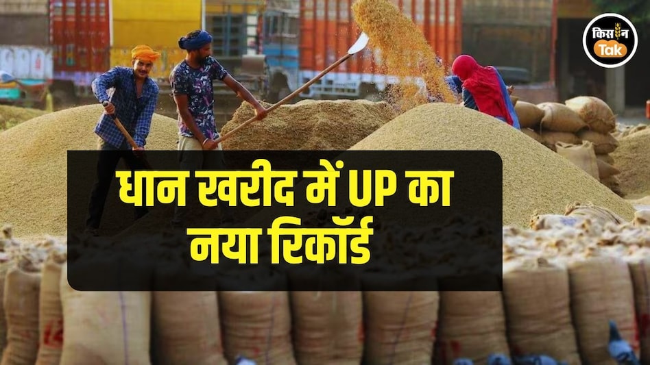 Paddy Procurement: यूपी ने धान खरीद में बनाया नया रिकॉर्ड, 4 लाख से ज्यादा किसान को फायदा Paddy Procurement: यूपी ने धान खरीद में बनाया नया रिकॉर्ड, 4 लाख से ज्यादा किसान को फायदा