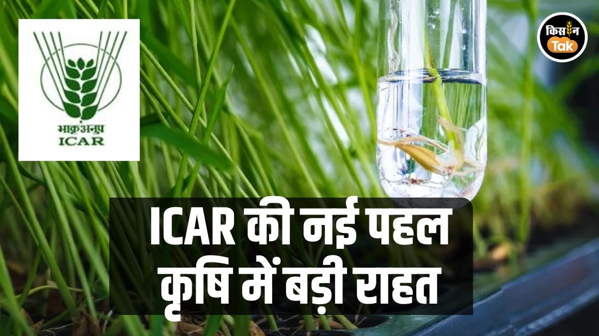 नई तकनीक से 41 फसलें तैयार करेगा ICAR
