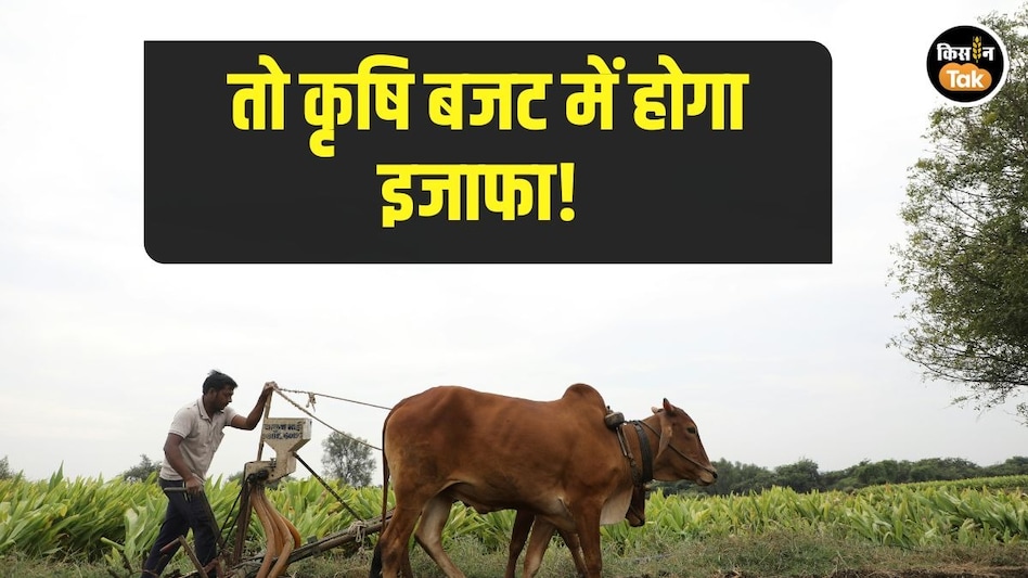 Agriculture News: रिसर्च से लेकर बजट तक बदलाव की मांग, कृषि पर संसदीय समिति की अहम सिफारिशें Agriculture News: रिसर्च से लेकर बजट तक बदलाव की मांग, कृषि पर संसदीय समिति की अहम सिफारिशें