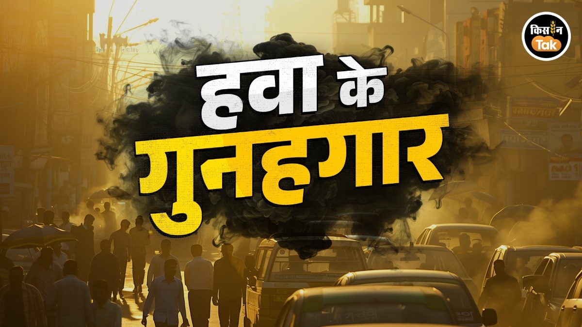 Air Pollution: 6 साल में सिर्फ 9 दिन ही 50 से कम रहा द‍िल्ली का AQI, जहरीली हवा का ज‍िम्मेदार कौन?   