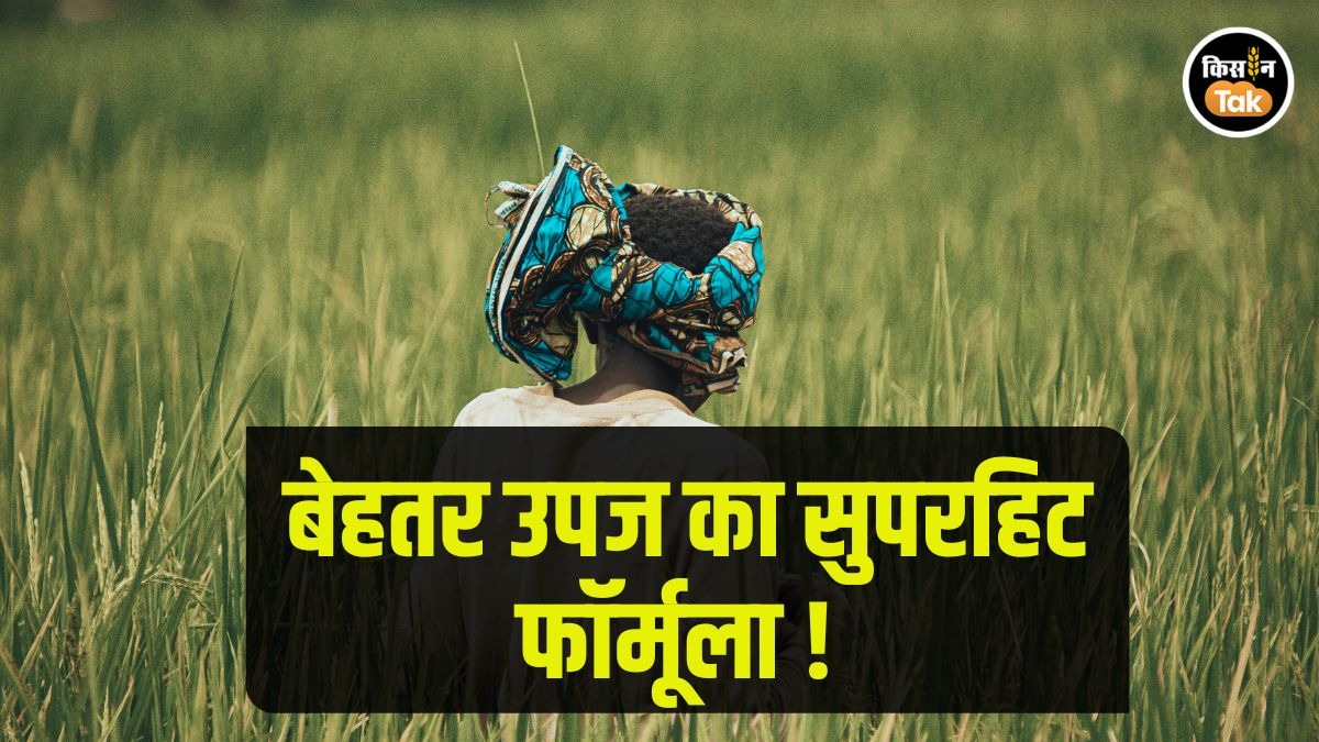 S, Zn, B बोले तो बंपर उपज का Formula, जानें क्यों है ये इतना जरूरी S, Zn, B बोले तो बंपर उपज का Formula, जानें क्यों है ये इतना जरूरी