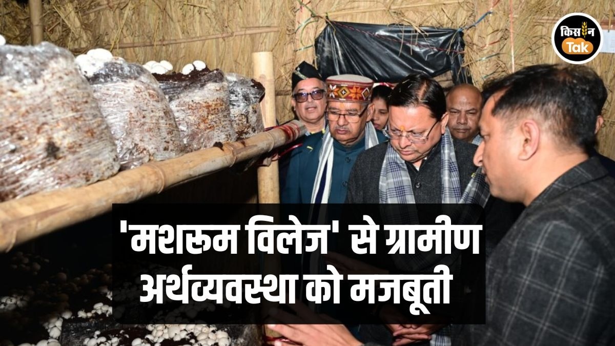 मुख्यमंत्री पुष्कर सिंह धामी