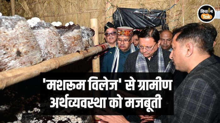 मुख्यमंत्री पुष्कर सिंह धामी