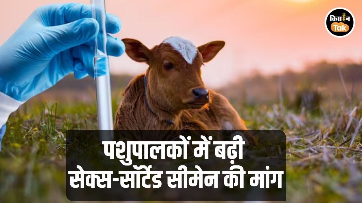 बढ़ी "सेक्स-सॉर्टेड सीमेन" की मांग