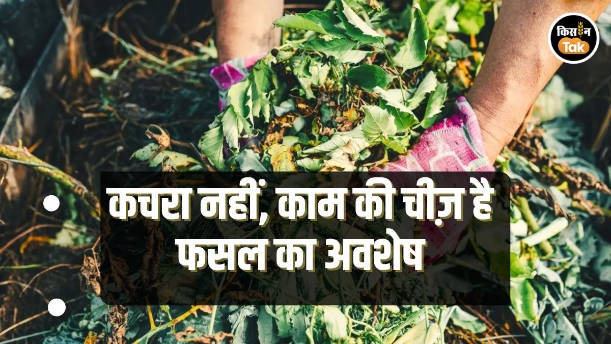 फसल का कचरा भी करता है बड़ा काम