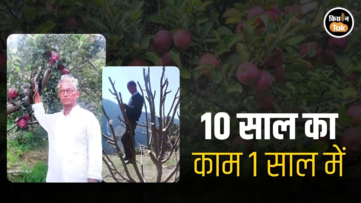 Apple Farmer Success Story