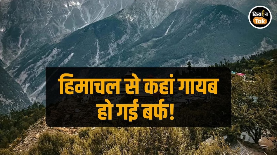 Himachal News: हिमाचल में अब तक का सबसे सूखा दिसंबर, किसान से लेकर बागवान तक परेशान Himachal News: हिमाचल में अब तक का सबसे सूखा दिसंबर, किसान से लेकर बागवान तक परेशान