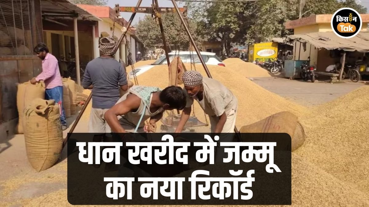 धान की रिकॉर्ड तोड़ खरीद
