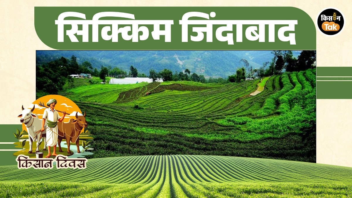 सिक्किम की हरियाली की कहानी