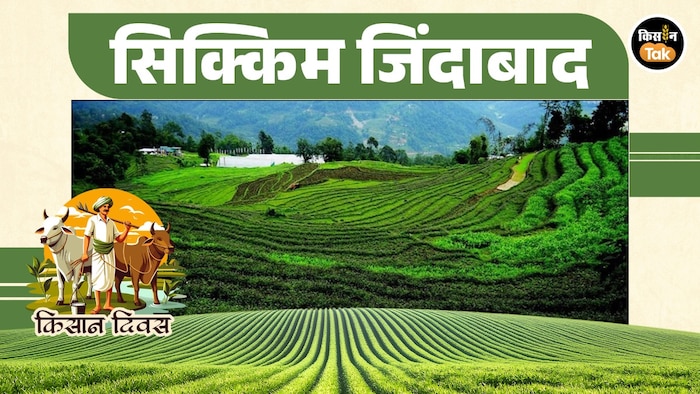 सिक्किम की हरियाली की कहानी