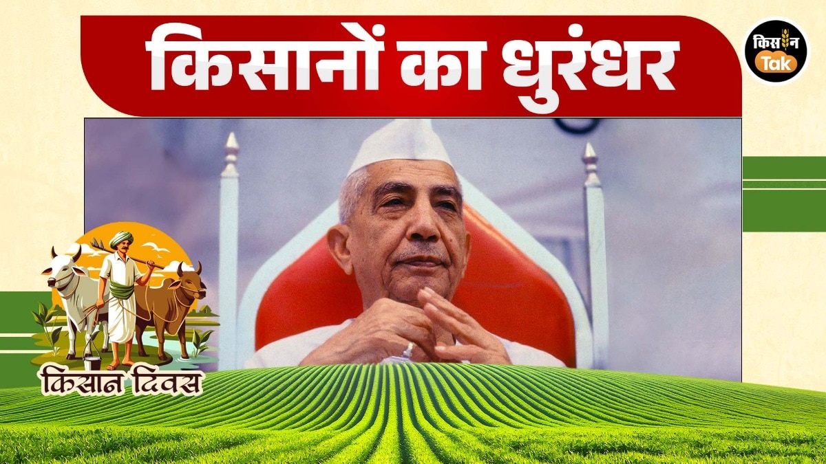 Kisan Diwas 2025: चौधरी चरण सिंह ने किसानों के लिए किए ये तीन बड़े काम, आज भी बने हैं मिसाल 