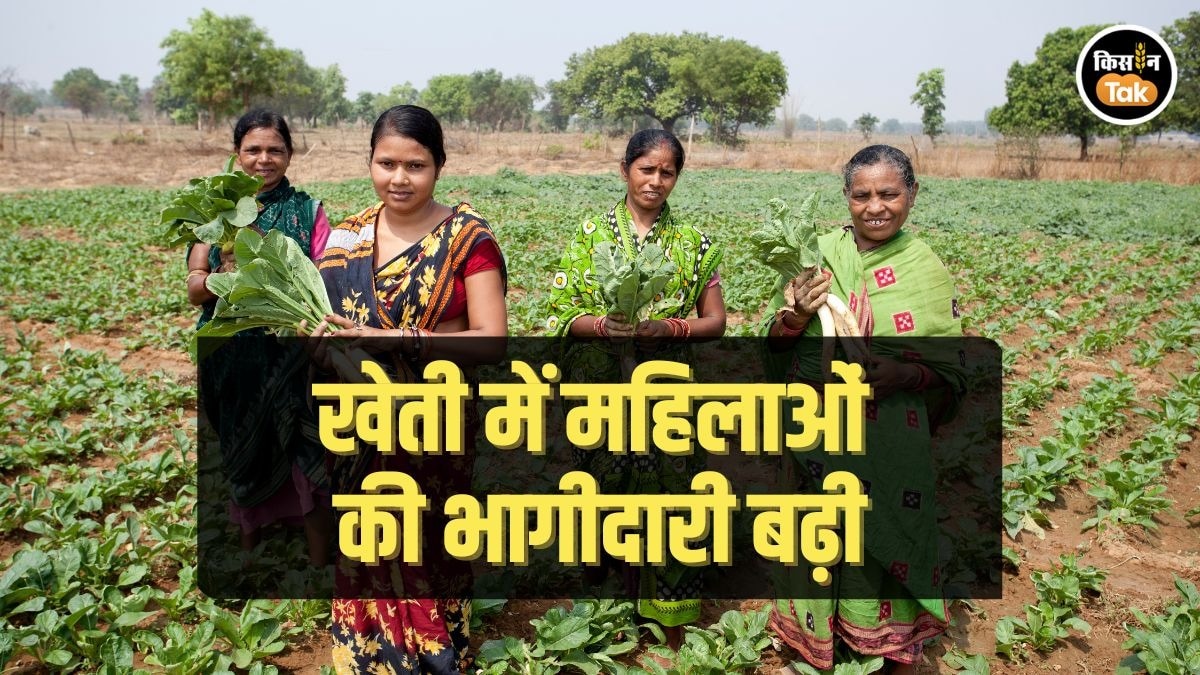 खेतों में महिलाओं की ताकत 