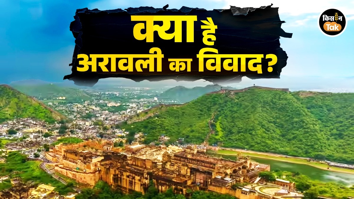 अरावली का विवाद