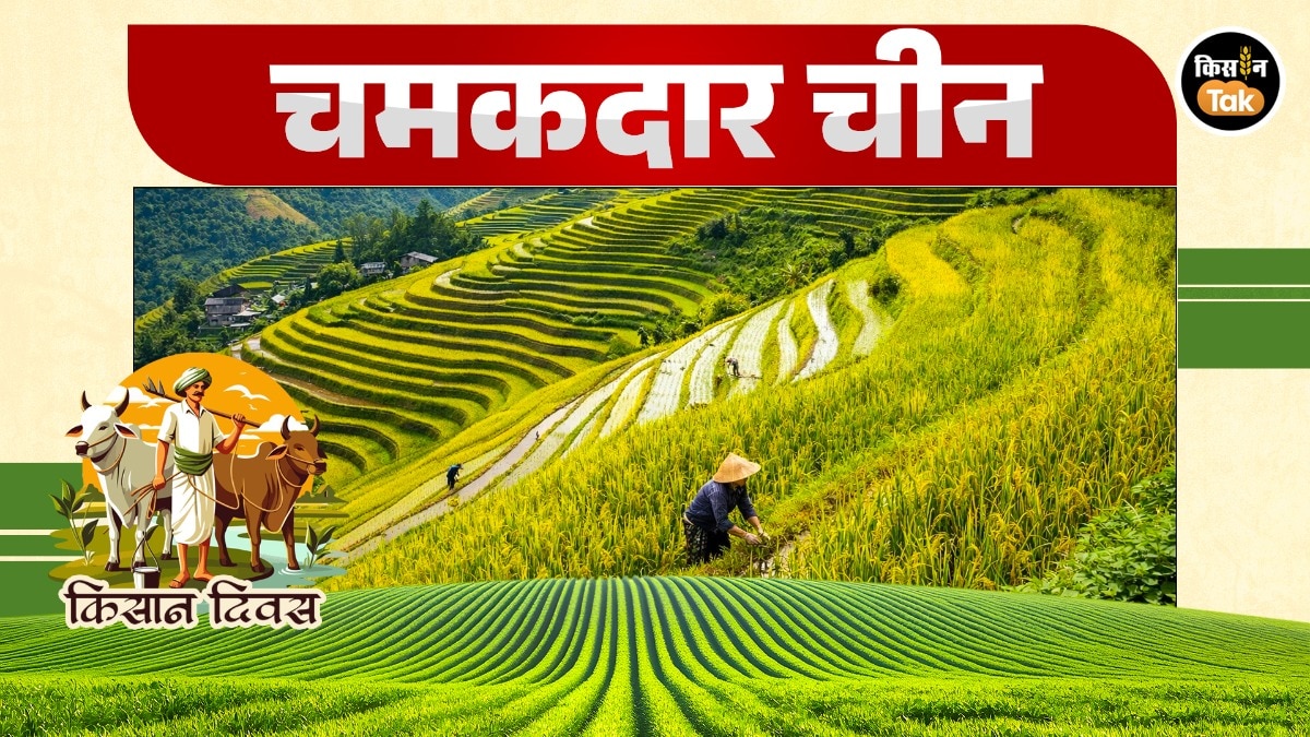 Kisan Diwas Speical china hani rice terrace Story