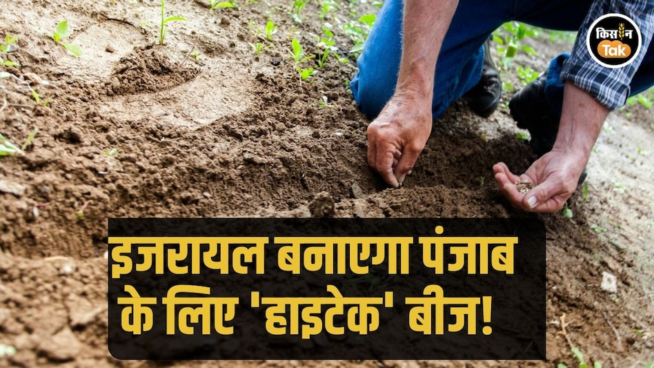 Israel के साथ मिलकर किसानों के लिए बेहतर बीज तैयार करेगा पंजाब, जानें पूरा प्लान Israel के साथ मिलकर किसानों के लिए बेहतर बीज तैयार करेगा पंजाब, जानें पूरा प्लान