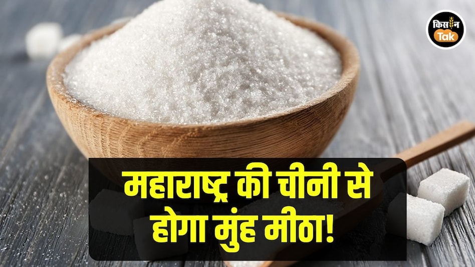 Sugar Production: इस बार पेराई सीजन स्पीड में, महाराष्ट्र में होगा बंपर चीनी उत्पादन! Sugar Production: इस बार पेराई सीजन स्पीड में, महाराष्ट्र में होगा बंपर चीनी उत्पादन!